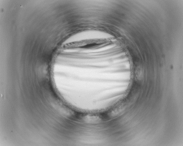 X0000088130270200705291340