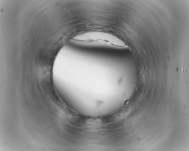 X0000088130271200705291340