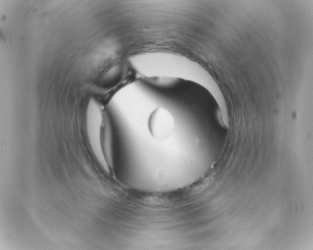 X0000088130272200705291340