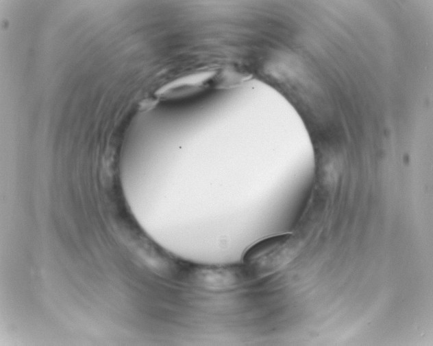 X0000088130275200705291340