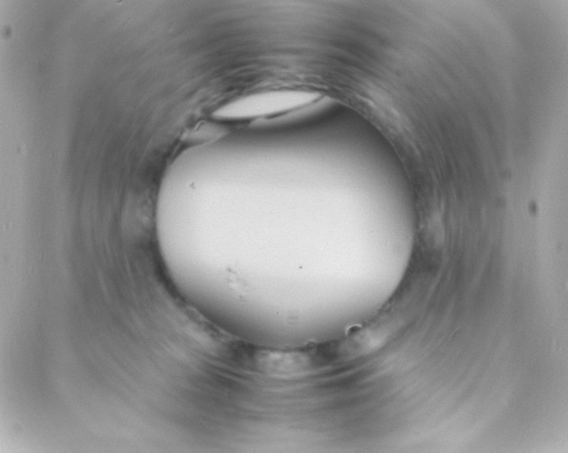 X0000088130277200705291340