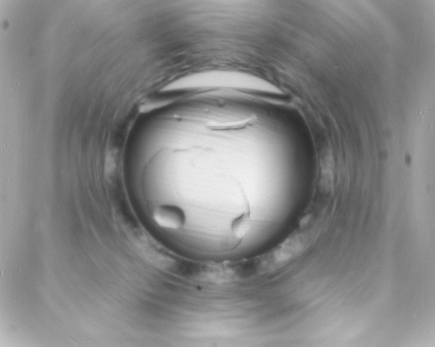 X0000088130278200705291340