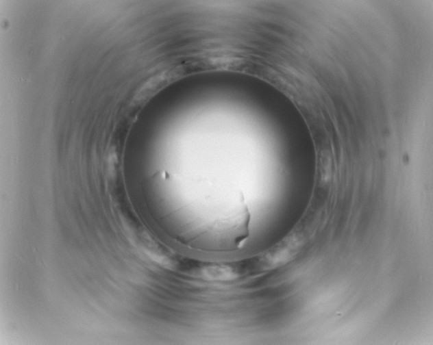 X0000088130279200705291340