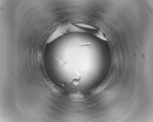 X0000088130281200705291340