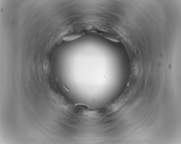 X0000088130283200705291340