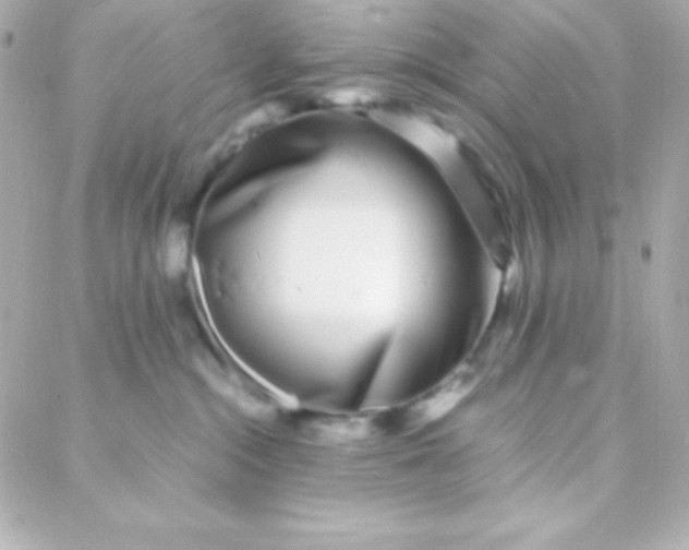 X0000088130284200705291340