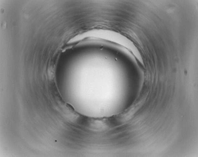 X0000088130285200705291340