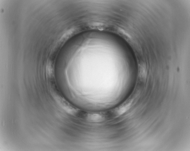 X0000088130287200705291340