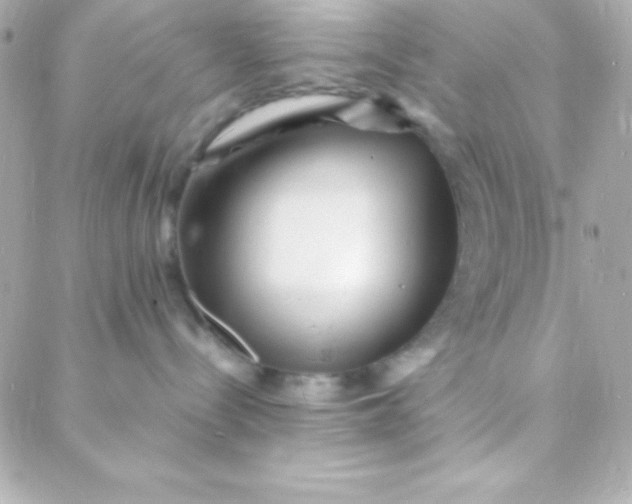 X0000088130288200705291340