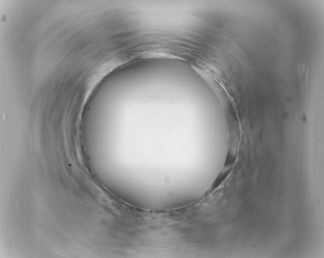 X0000088130289200705291340