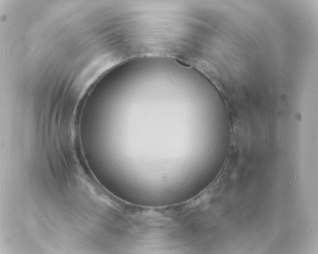 X0000088130290200705291340