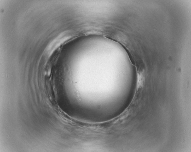 X0000088130291200705291340