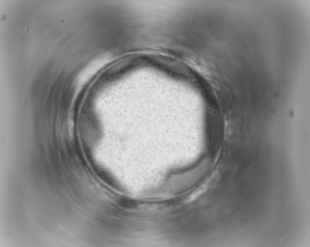 X0000088130294200705291340