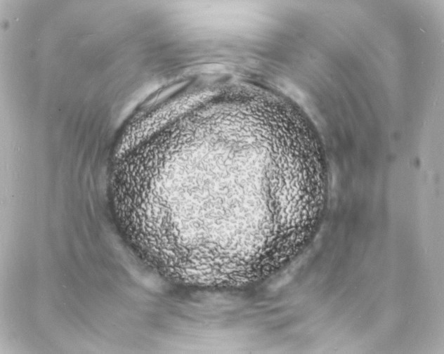 X0000088130297200705291340