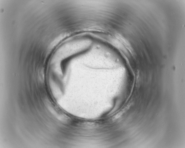 X0000088130298200705291340