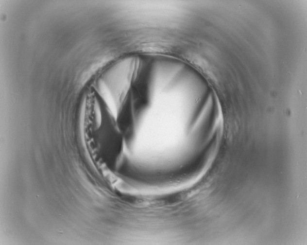 X0000088130299200705291340