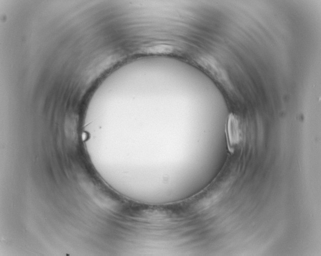 X0000088130300200705291340