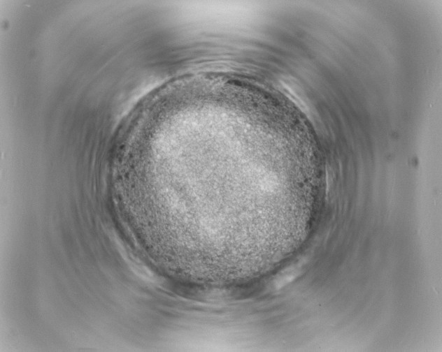 X0000088130301200705291339