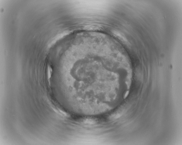 X0000088130303200705291339