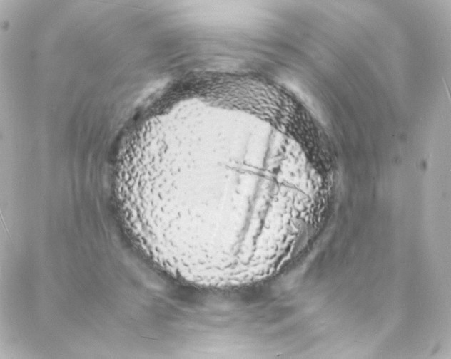 X0000088130305200705291339