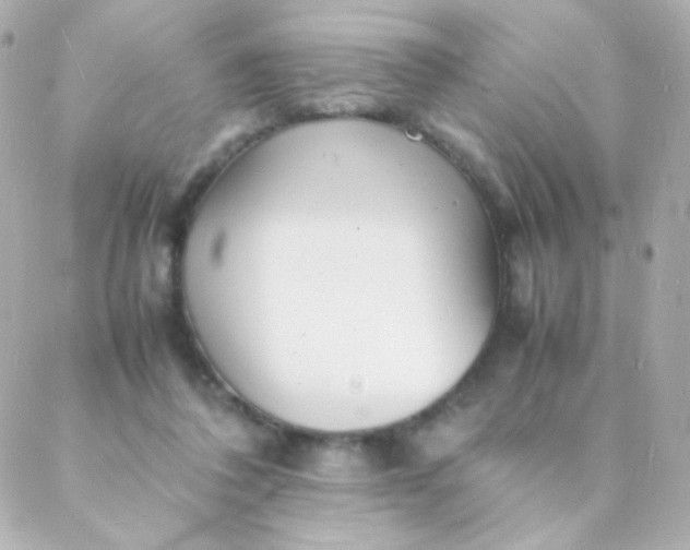 X0000088130308200705291339