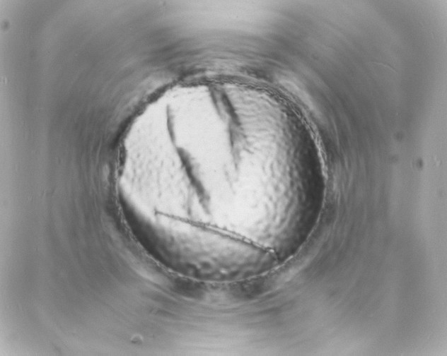 X0000088130309200705291339