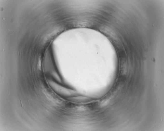 X0000088130310200705291339