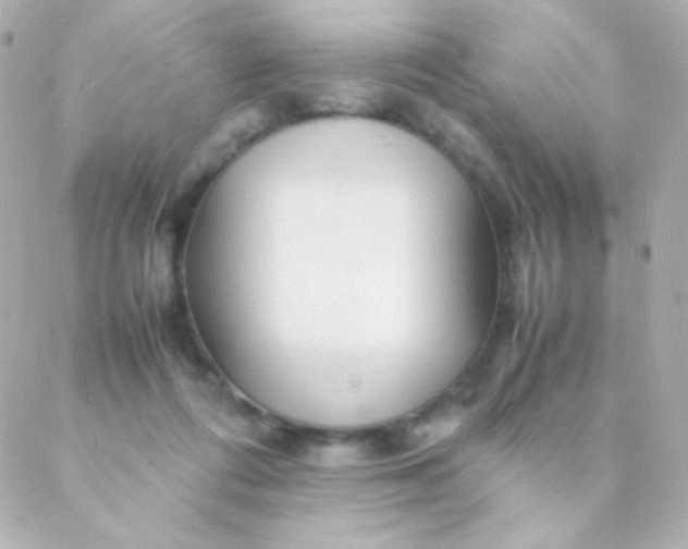 X0000088130312200705291339