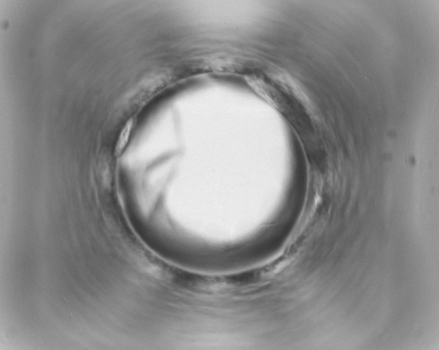 X0000088130313200705291339