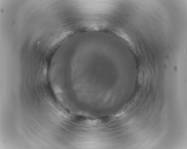 X0000088130314200705291339