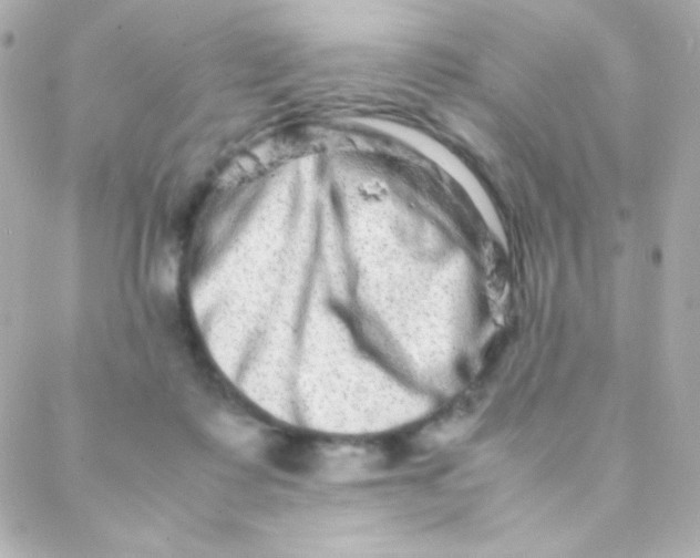 X0000088130315200705291339