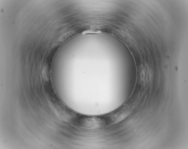 X0000088130316200705291339