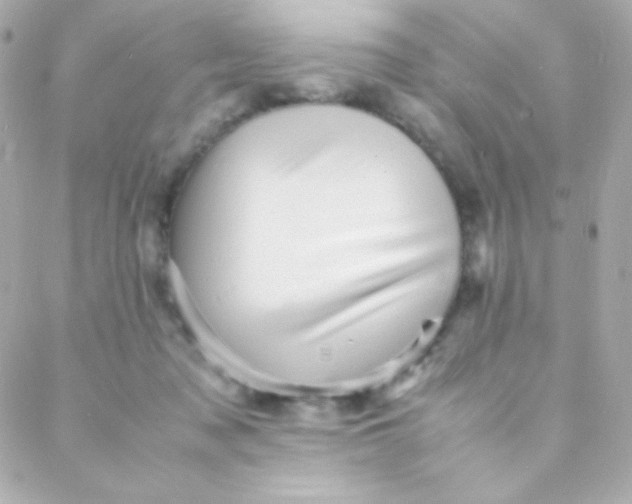 X0000088130317200705291339