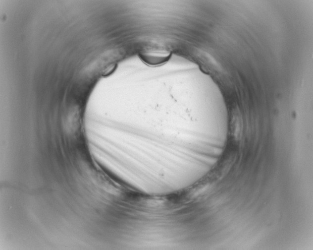 X0000088130318200705291339