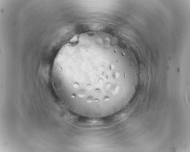 X0000088130319200705291339