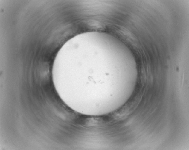 X0000088130320200705291339