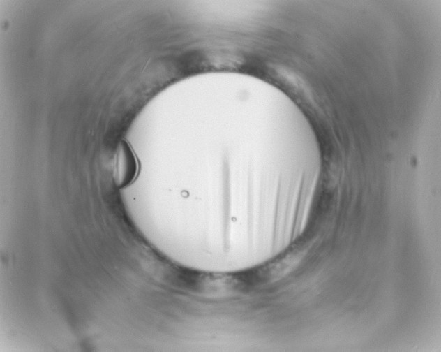 X0000088130321200705291339