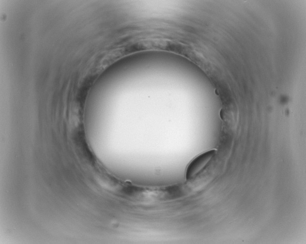 X0000088130323200705291339