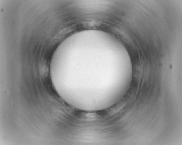 X0000088130324200705291339