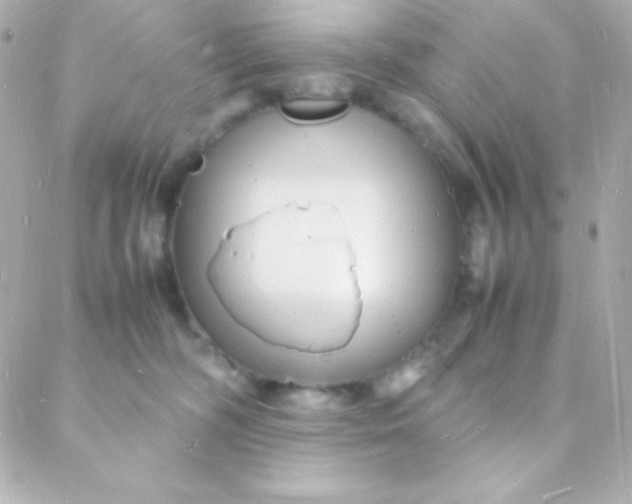 X0000088130326200705291339