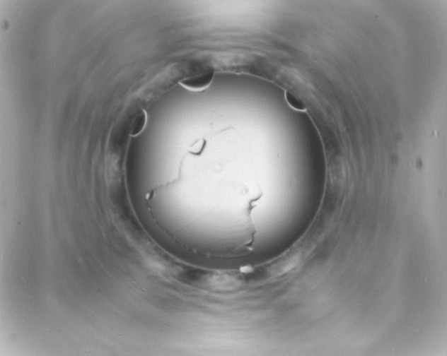 X0000088130327200705291339