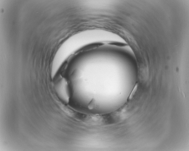 X0000088130329200705291339