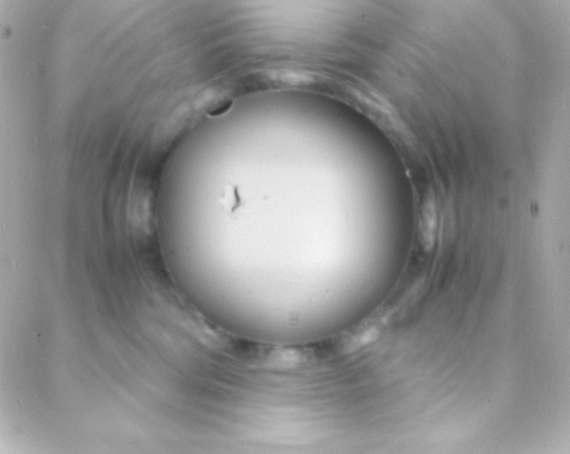 X0000088130330200705291339