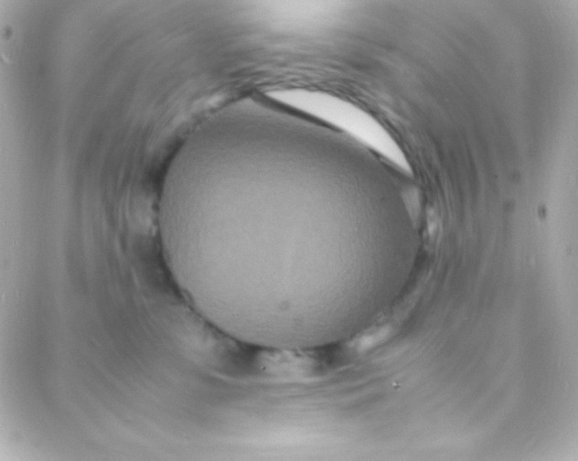 X0000088130331200705291339