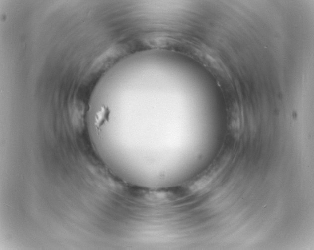 X0000088130332200705291339