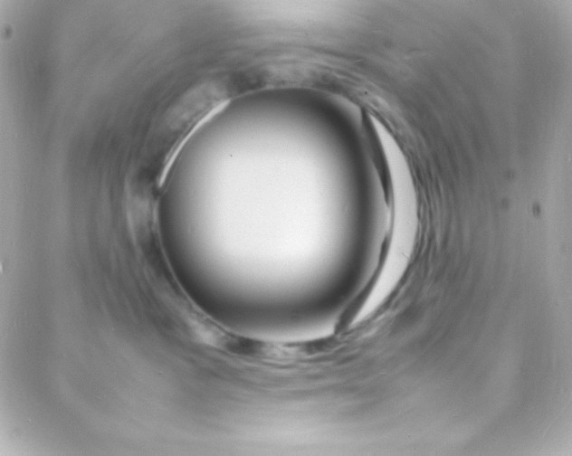 X0000088130333200705291339