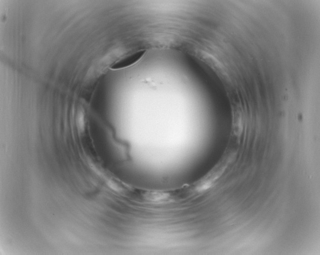 X0000088130334200705291339