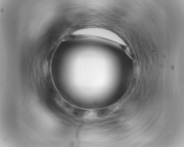 X0000088130335200705291339