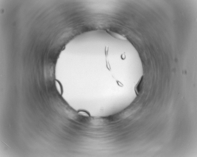 X0000088130336200705291339