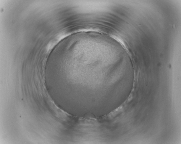 X0000088130337200705291338